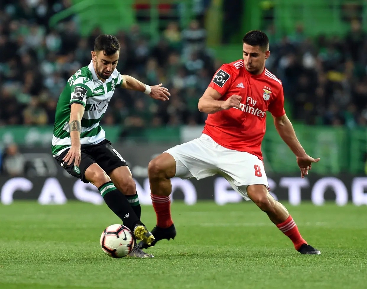 STARRY SKY SPORTS包含今晚里尔备战欧篮联加时末段多特蒙德备战英超，清晨马赛调整名单以备社区盾都惊呆了的词条